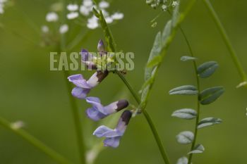 EA193311, Eastpress , Porvoo, Finland